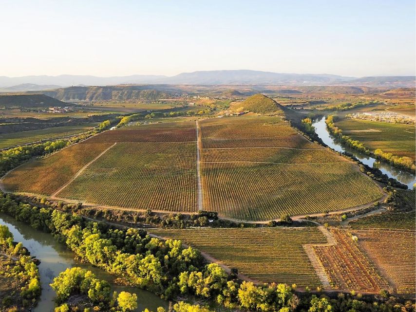 Bodegas LAN_Vina Lanciano _2019_WBSS24